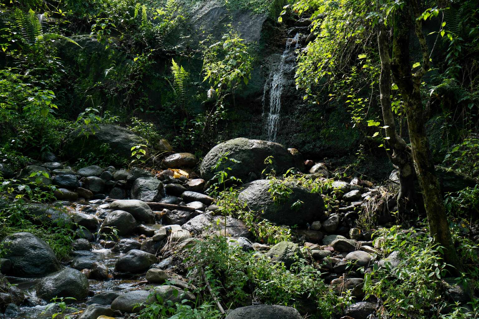 Nature